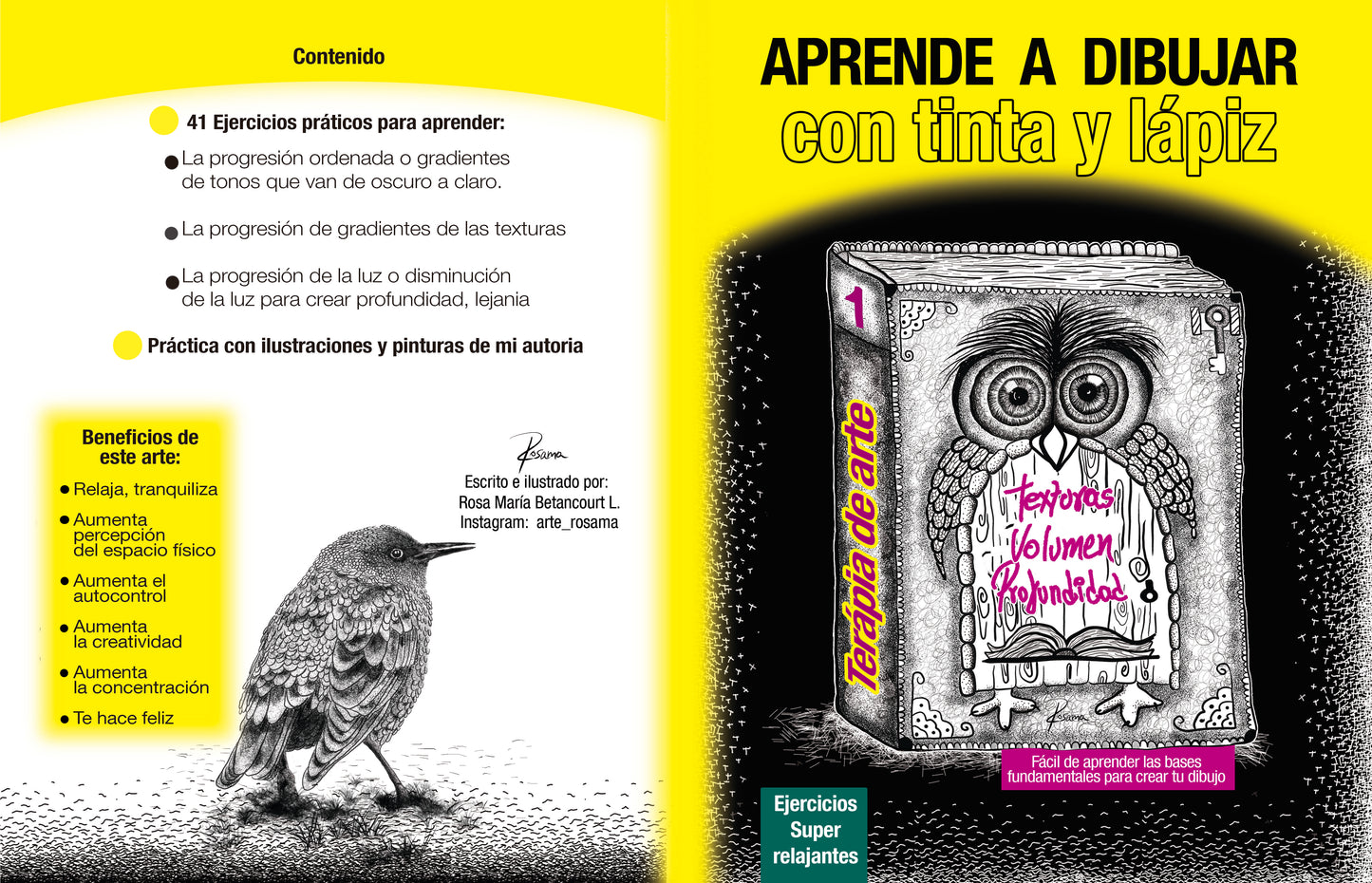 Aprende a Dibujar en tinta y lápiz