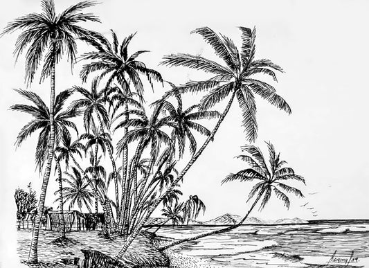 Playas de Cumaná - Venezuela